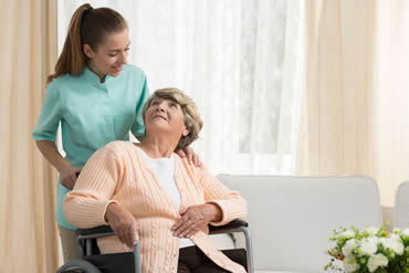 Live In Care Services Live In Care Services